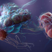 Medizinische 3D Visualisierungen