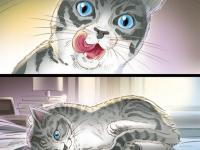 Cat storyboard