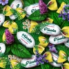 BonBons