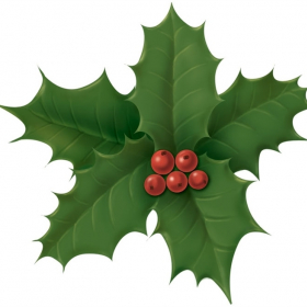 Ilex-leaves Ilex-leaves