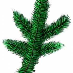 SpecialBranch-agent--pine SpecialBranch-agent--pine