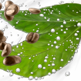 Ausrede-Garnier-07 Ausrede-Garnier-07