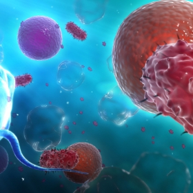 3D Artist für Pharma und Medizin