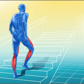 Peter Kapp ist ein deutscher Storyboard-Artist und illustriert f