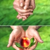 Sprite 2