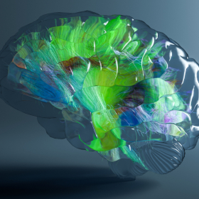 Medizinische 3D Animationen Immunsytem für Pfizer