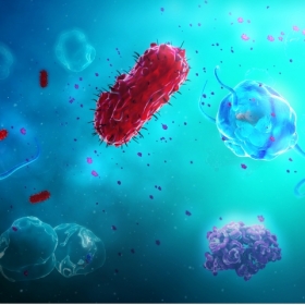 medizinische 3D Visualisierung