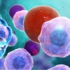 Medizinische Animationen Immunsytem Kunde Pfizer