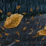 A 09